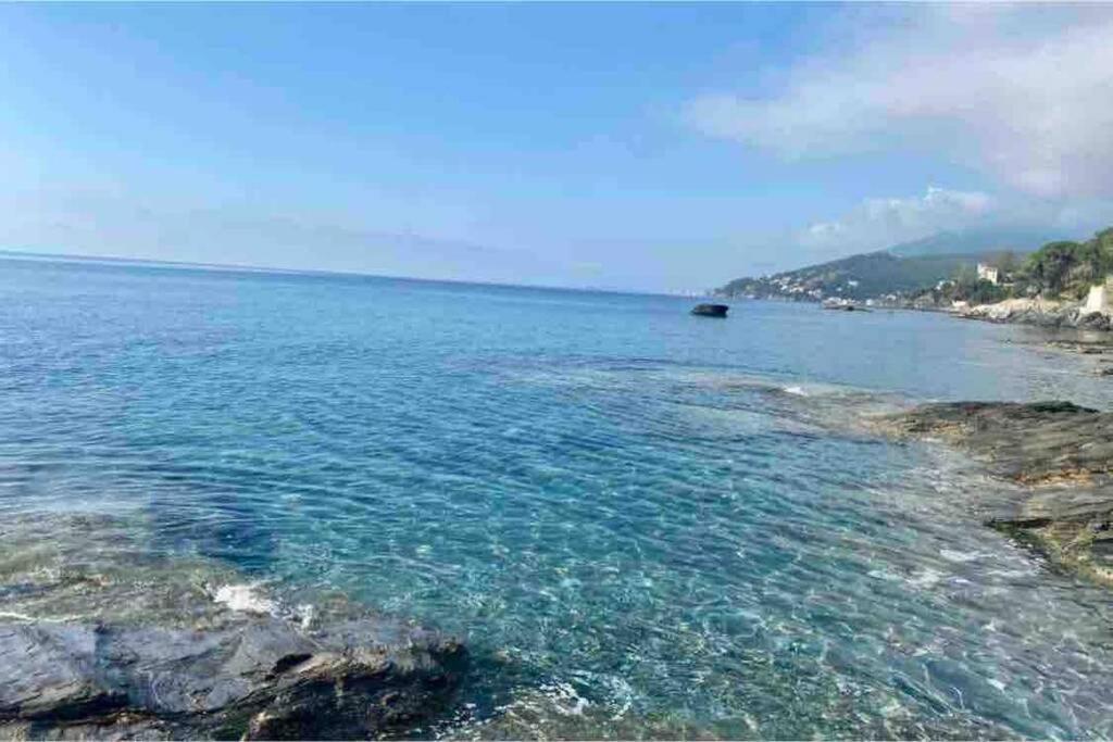 Appartement Vue Mer Avec Parking Gratuit Sur Place Bastia  Kültér fotó